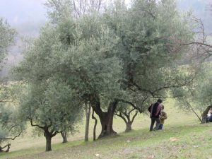 Bologna - Sasso Marconi (Masetti)