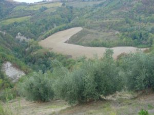 Brisighella - Azienda Agricola Peneto