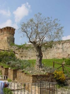 Castrocaro Terme e Terra del Sole - Fortezza di Castrocaro