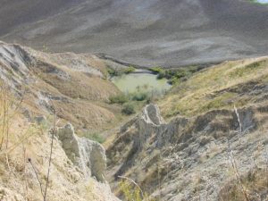 Castrocaro Terme e Terra del Sole - Azienda Agricola Landi Marzia