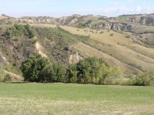 Castrocaro Terme e Terra del Sole - Azienda Agricola Landi Marzia