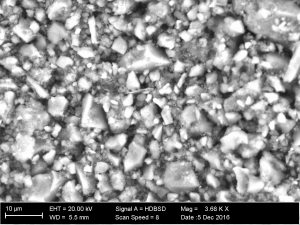 Cristalli di zeolitite distribuiti sulla superficie dell’oliva osservata al microscopio elettronico ambientale (ESEM) 